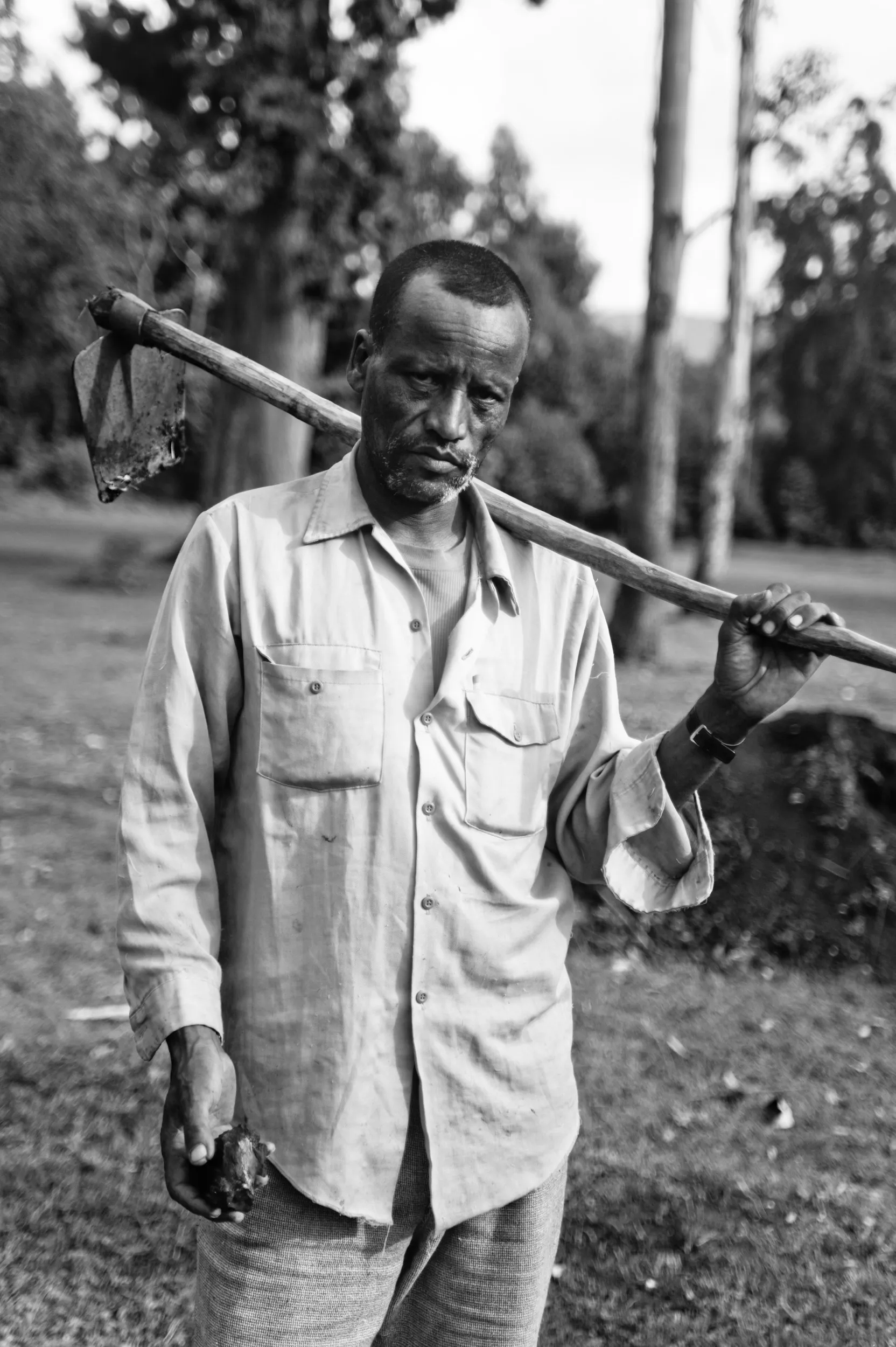 Los trabajadores de la granja de la misión de Gambo